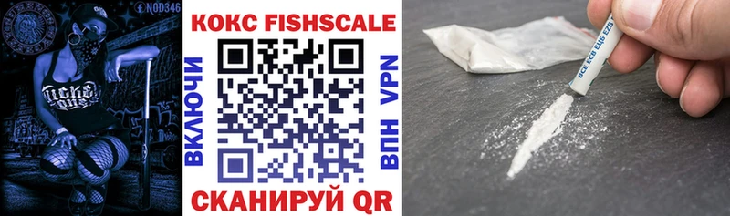 где купить Чита Cocaine Fish Scale