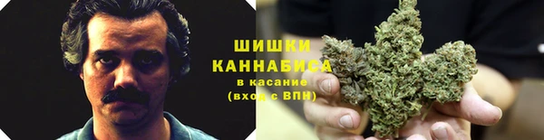 ECSTASY Красноперекопск
