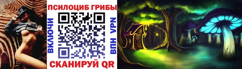 где можно купить   Чита  Галлюциногенные грибы Psilocybine cubensis 